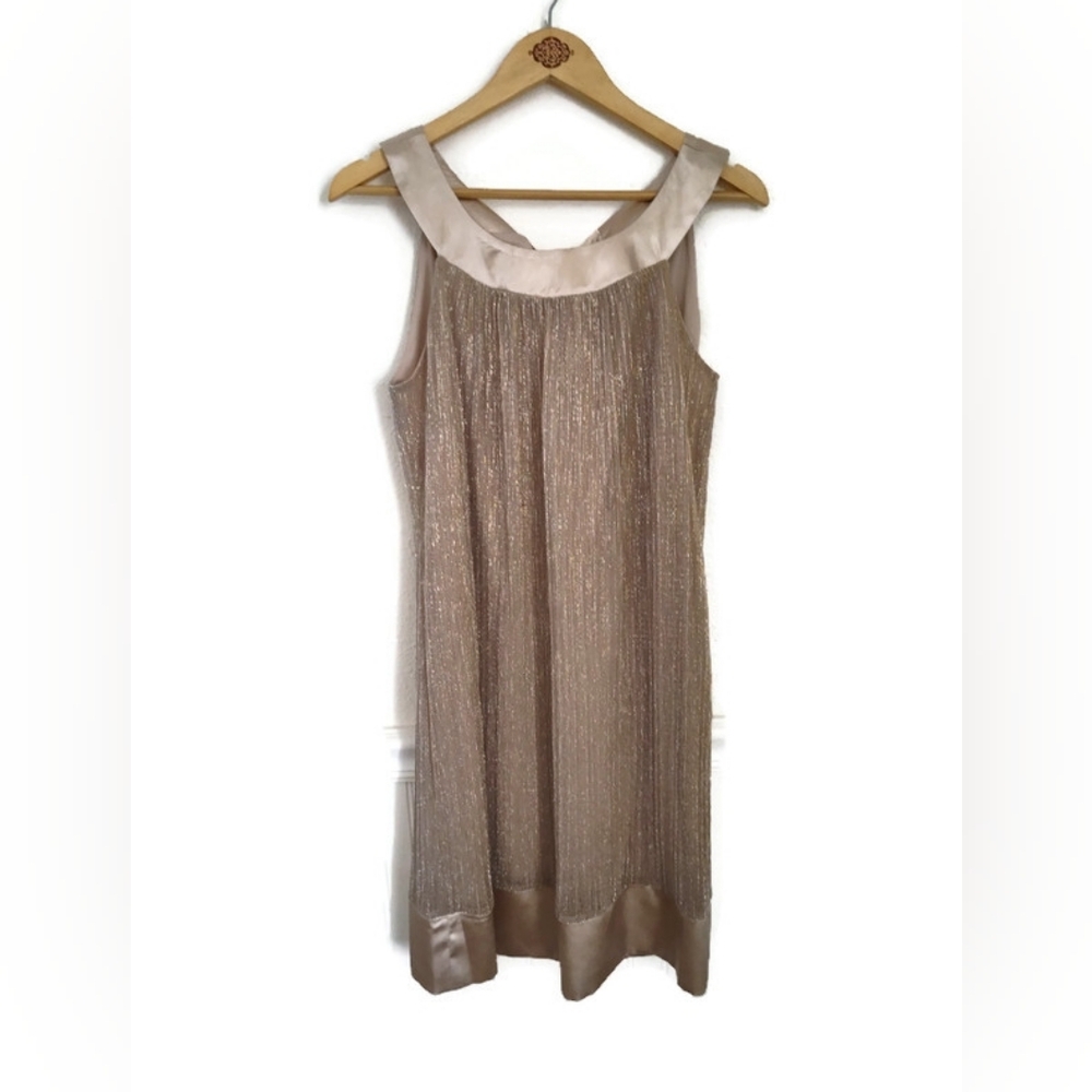 En Focus Lovely Champagne Dress. Lined Size 12